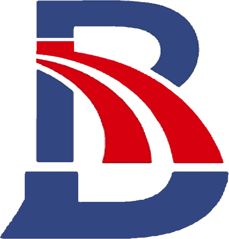 Logo RSB